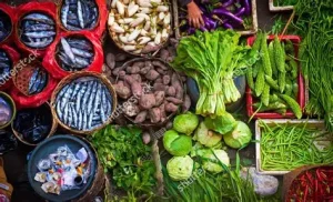 penggunaan bahan fungsional lokal