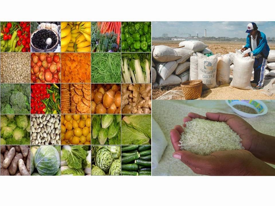 Rencana cadangan bahan pangan
