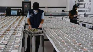 benchmark dapur terbaik daerah