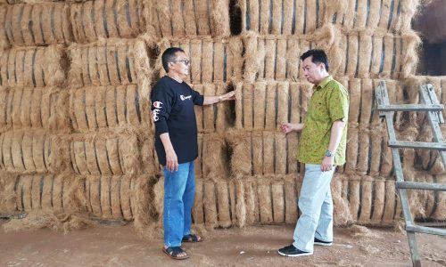 Sabut Kelapa dalam Industri Tekstil Berkelanjutan