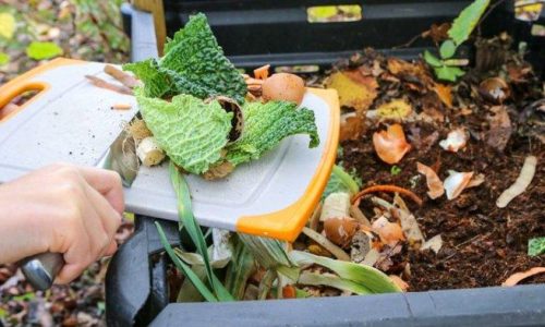 Cara Mempercepat Pengomposan agar Lebih Efisien