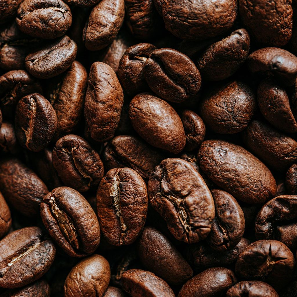 mesin sangrai kopi untuk usaha