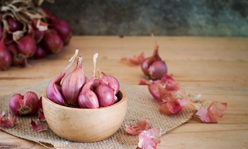 Cara Mengiris Bawang Cepat dan Rapi dengan Praktis
