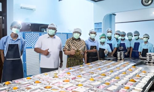 Inspirasi Dapur MBG yang Fungsional dan Estetis