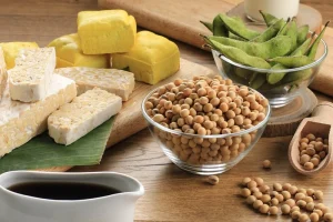 pengembangan alternatif protein nabati sekolah