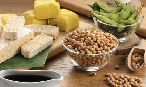 Pengembangan Alternatif Protein Nabati Sekolah Solusi Gizi Sehat