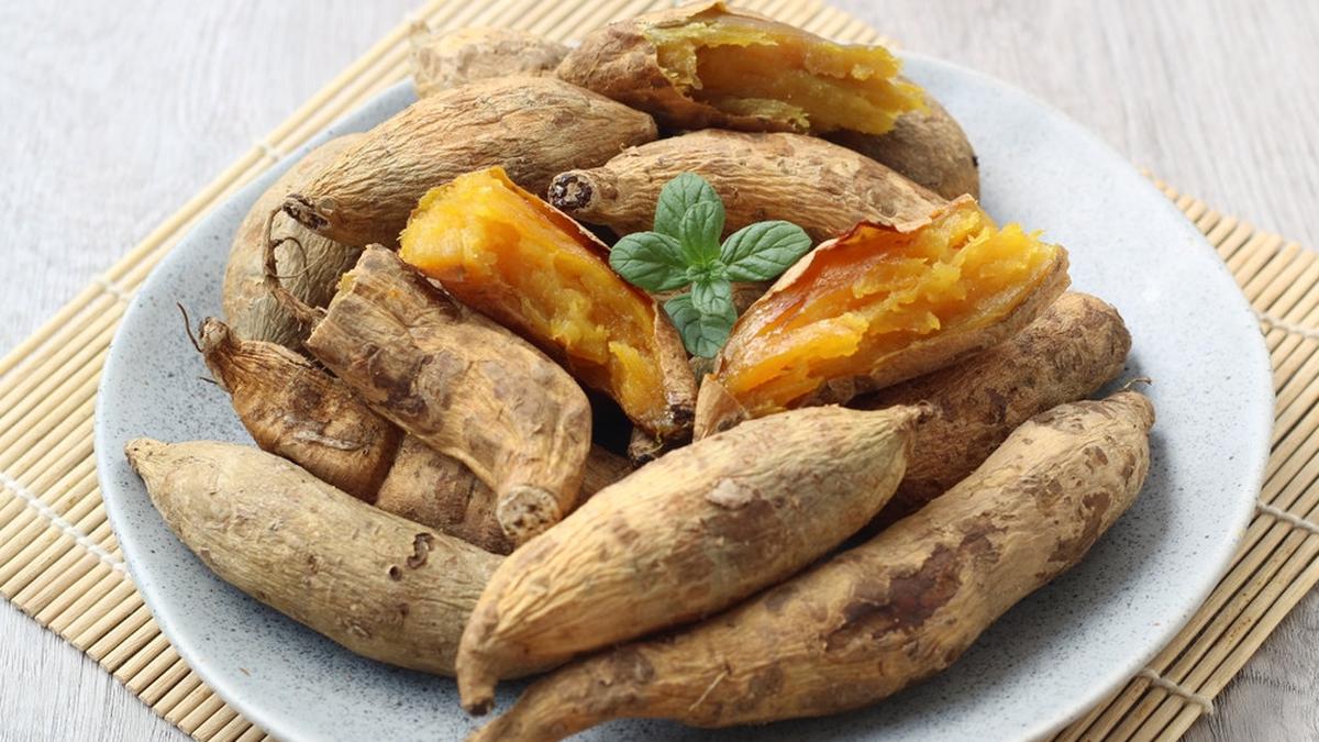 mesin pengiris singkong skala produksi