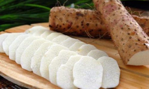 Keunggulan dari Alat Perajang Ubi untuk Industri Makanan