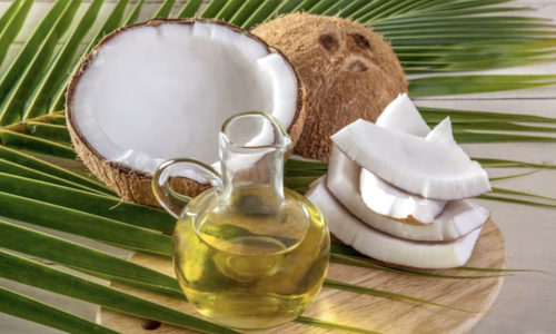 mesin parut kelapa cara pakai