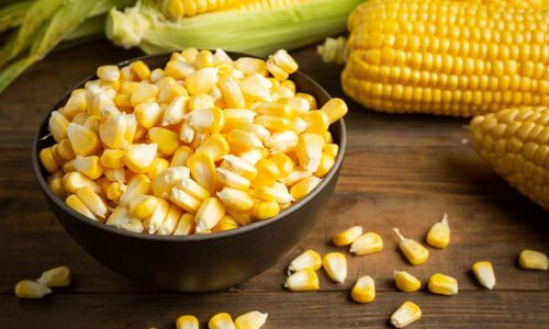 Manfaat Mesin Pemipil Jagung untuk Pertanian Modern