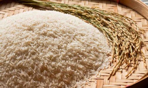 Proses Kupas Gabah Petani untuk Hasil Beras Berkualitas