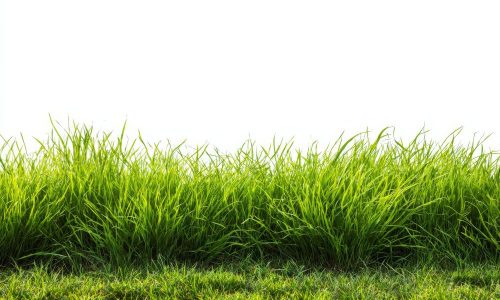 Cara Merawat Pencacah Rumput Multifungsi agar Tahan Lama