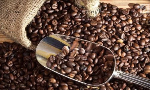 Cara Pisahkan Kulit Kopi Kering dengan Cepat dan Efisien