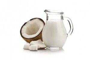 Mesin pemeras santan kelapa