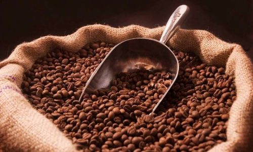 Alat Kupas Kopi Kering Usaha Terbaik untuk UMKM dan Industri