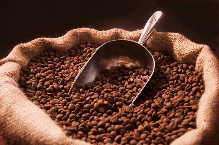 Alat kupas kopi kering usaha