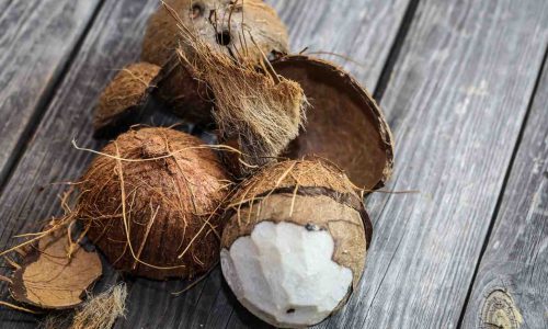 Fungsi Mesin Pengupas Batok Kelapa untuk Produksi lebih Efisien