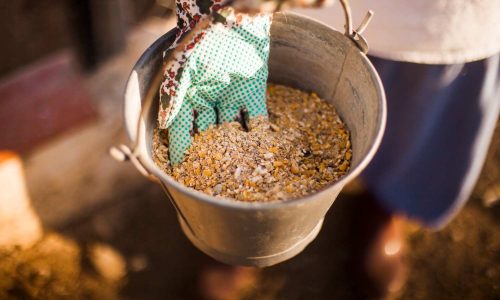 Keunggulan Mesin Pengaduk Pakan dalam Proses Produksi Pakan Ternak