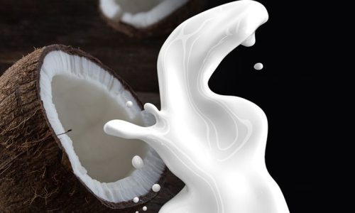 Cara Membuat Santan dari Kelapa Segar dengan Mudah dan Praktis