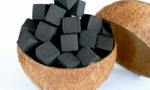 Peluang Usaha Arang Batok Kelapa Bisnis Menjanjikan dengan Modal Terjangkau dan Pasar Luas