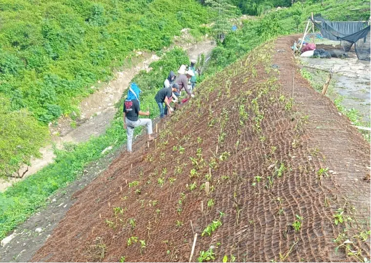 cocomesh-proyek-penghijauan-berkelanjutan