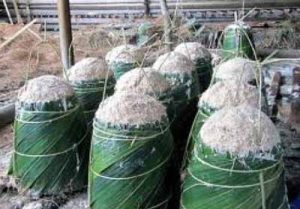 Cara Mengurangi Limbah Produksi Sagu