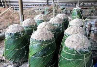 Cara Mengurangi Limbah Produksi Sagu agar Proses Produksi Lebih Berkelanjutan