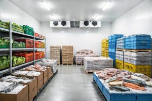 fungsi cold storage dalam pengawetan