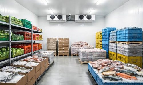 Fungsi Cold Storage dalam Pengawetan Produk agar Lebih Tahan Lama