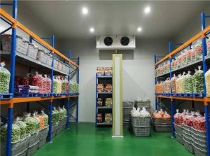jenis cold storage untuk bahan pangan