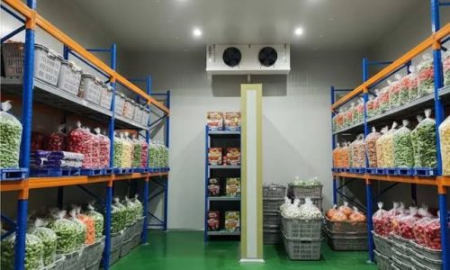 Jenis Cold Storage untuk Bahan Pangan dan Fungsinya dalam Penyimpanan