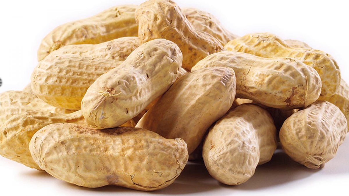 Cara Membuat Roti Kacang