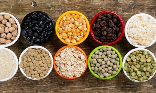 Tips Memilih Mesin Pengering Bahan Pertanian